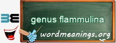 WordMeaning blackboard for genus flammulina